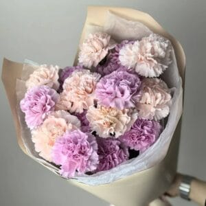 букет нежных гвоздик