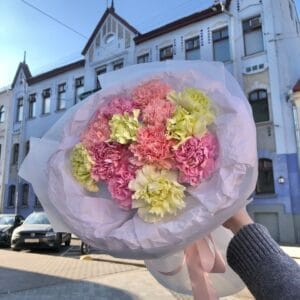 цветные диантусы букет