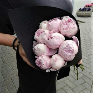 Пион розовый нежный доставка