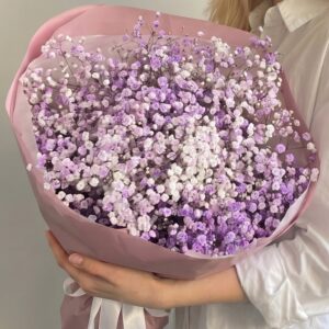 5 сиреневых гипсофил