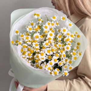 Букет комплимент ромашки