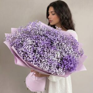 25 гипсофил сиреневых