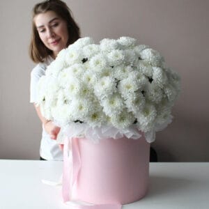 Белая хризантема кустовая в коробке