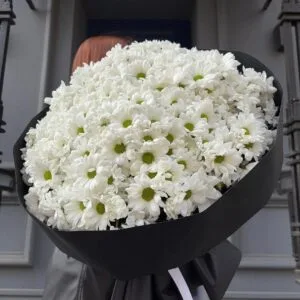 букет гигант из хризантем