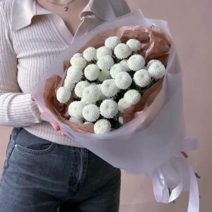 хризантема кустовая