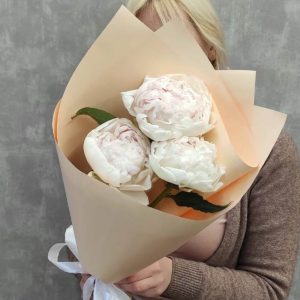 пионы белые купить