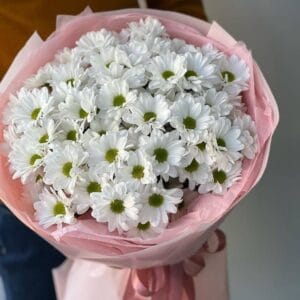 букет из 9 хризантем ромашка