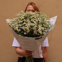 Хиты продаж