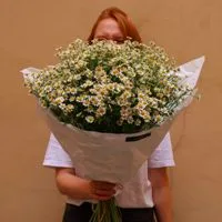 Хиты продаж