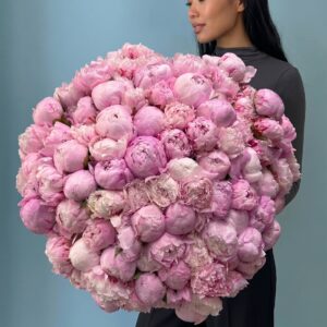 101 пион розовый новосибирск